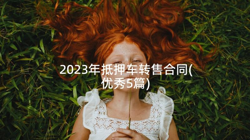 2023年抵押车转售合同(优秀5篇)