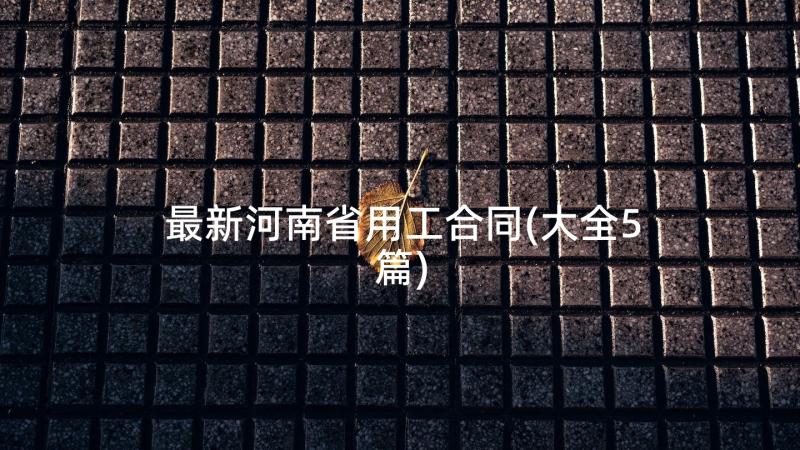 最新河南省用工合同(大全5篇)