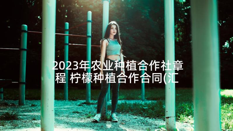 2023年农业种植合作社章程 柠檬种植合作合同(汇总5篇)