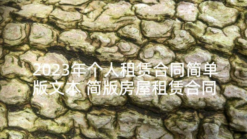 2023年个人租赁合同简单版文本 简版房屋租赁合同(精选6篇)