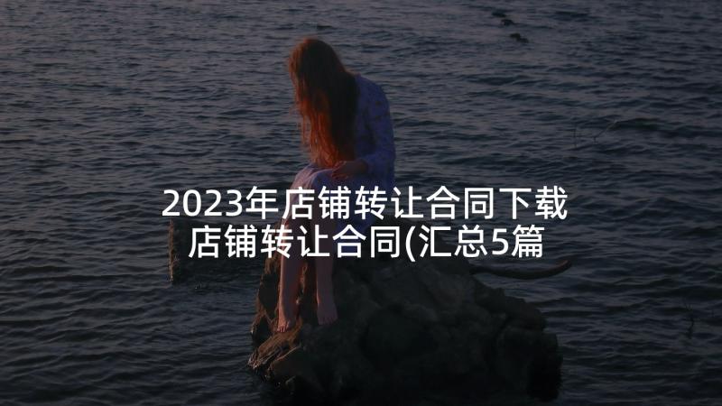 2023年店铺转让合同下载 店铺转让合同(汇总5篇)