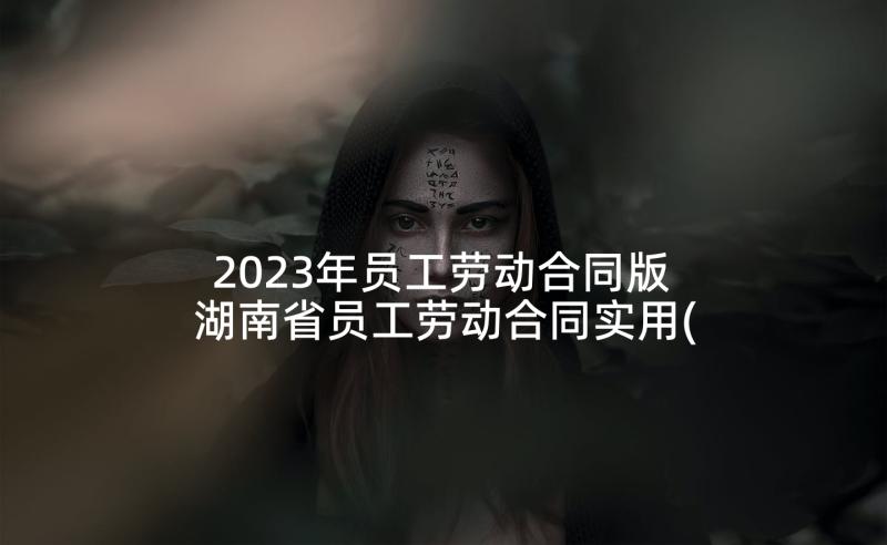 2023年员工劳动合同版 湖南省员工劳动合同实用(大全5篇)