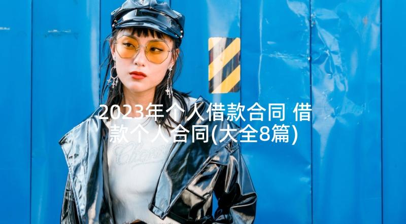 2023年个人借款合同 借款个人合同(大全8篇)