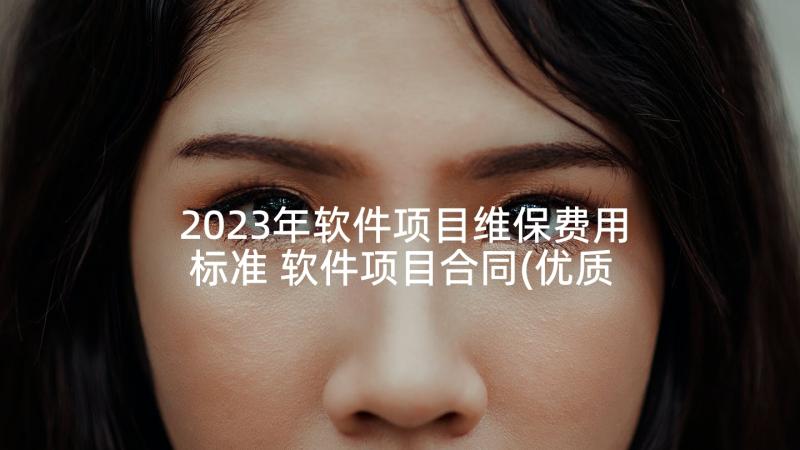 2023年软件项目维保费用标准 软件项目合同(优质5篇)