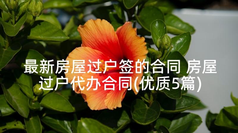 最新房屋过户签的合同 房屋过户代办合同(优质5篇)