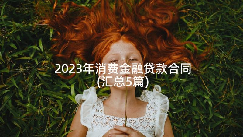 2023年消费金融贷款合同(汇总5篇)