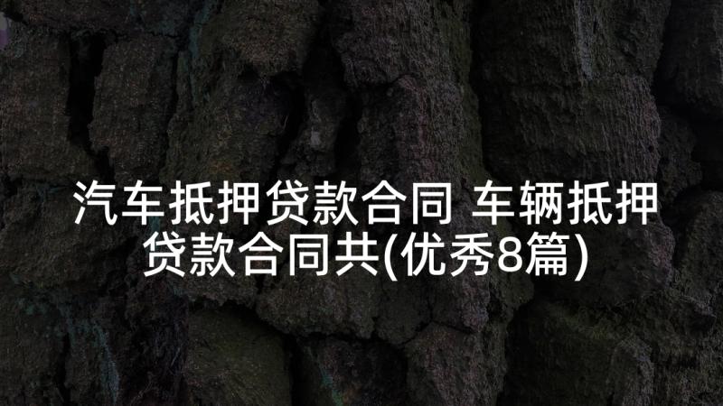 汽车抵押贷款合同 车辆抵押贷款合同共(优秀8篇)