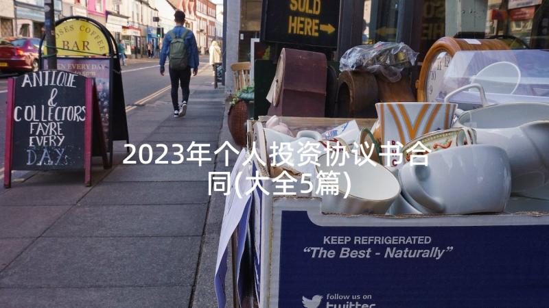 2023年个人投资协议书合同(大全5篇)