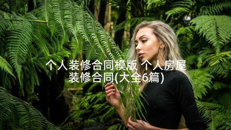 个人装修合同模版 个人房屋装修合同(大全6篇)