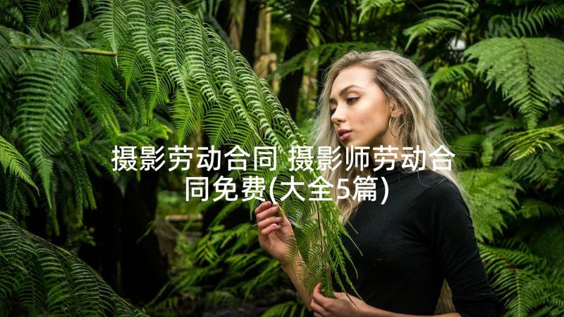 摄影劳动合同 摄影师劳动合同免费(大全5篇)