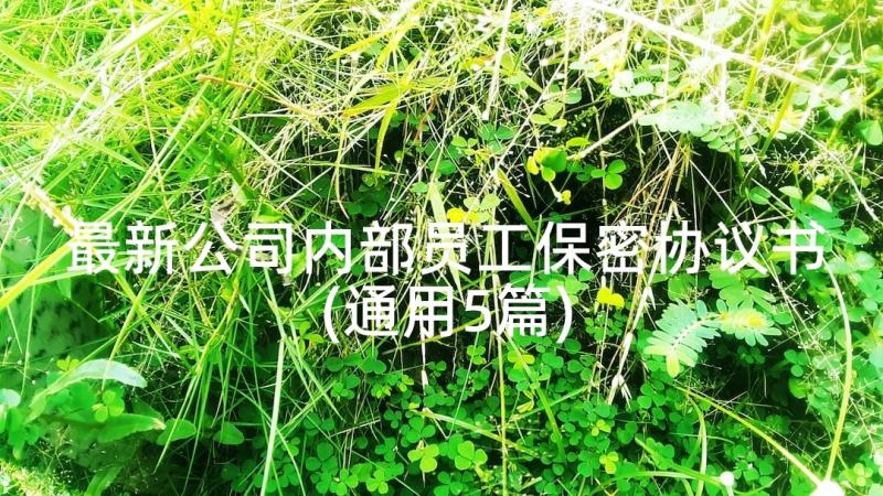 最新公司内部员工保密协议书(通用5篇)