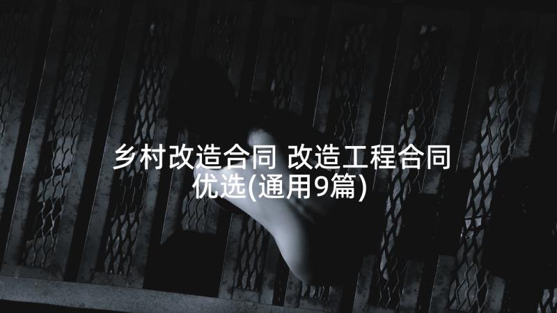 乡村改造合同 改造工程合同优选(通用9篇)