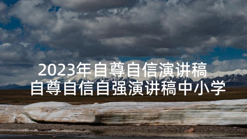 2023年自尊自信演讲稿 自尊自信自强演讲稿中小学(优质5篇)