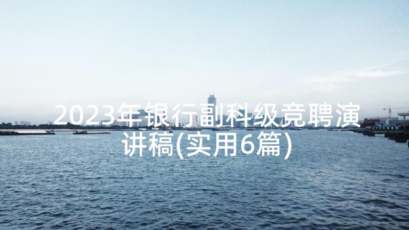 2023年银行副科级竞聘演讲稿(实用6篇)