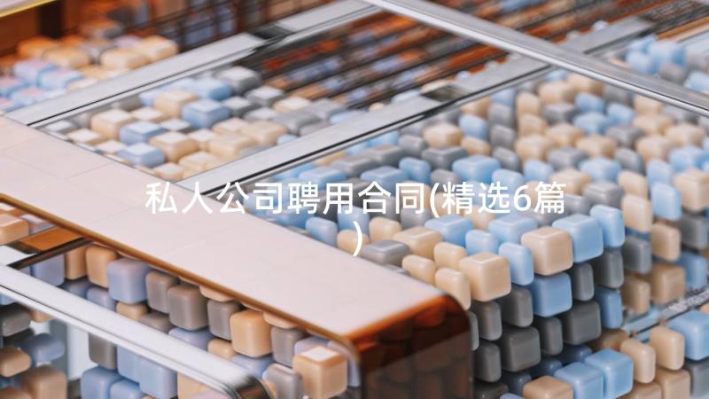 私人公司聘用合同(精选6篇)