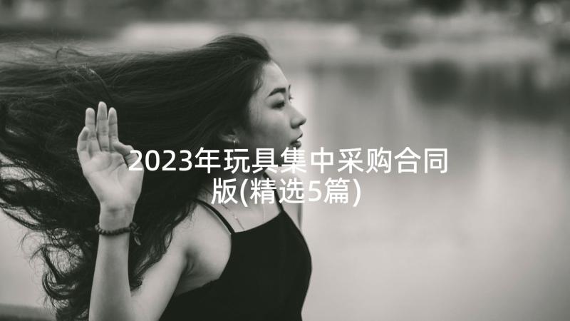 2023年玩具集中采购合同版(精选5篇)