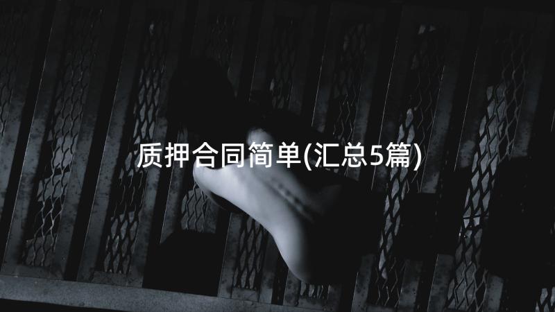 质押合同简单(汇总5篇)