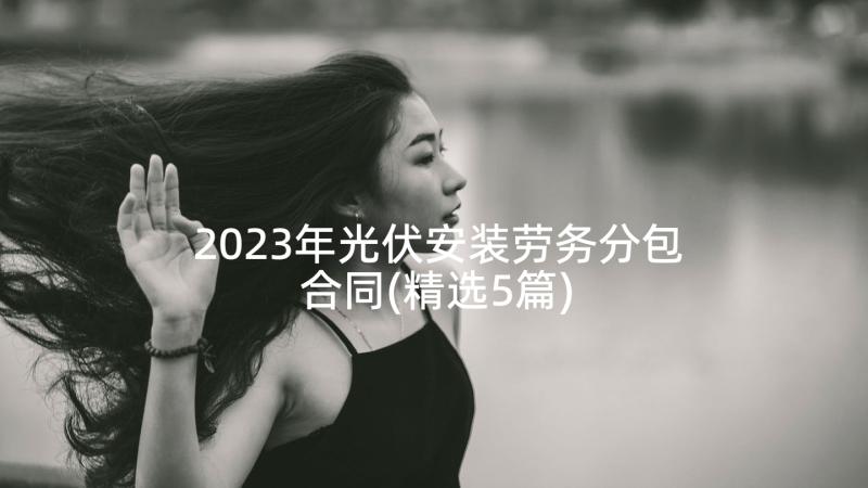 2023年光伏安装劳务分包合同(精选5篇)