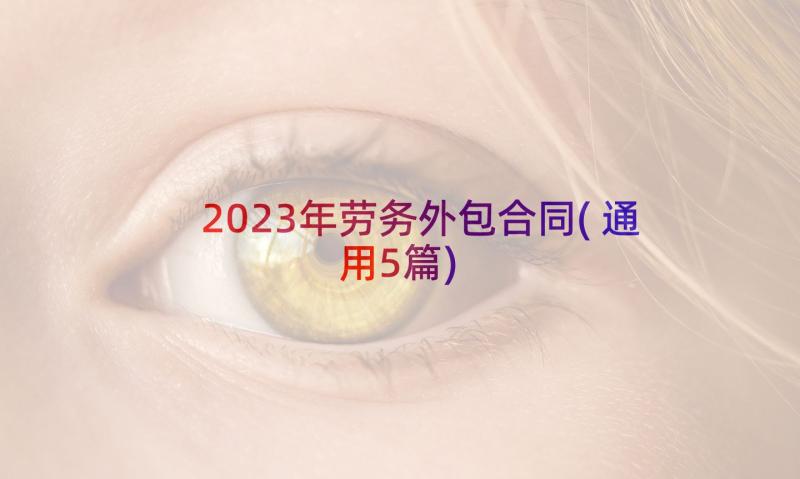 2023年劳务外包合同(通用5篇)