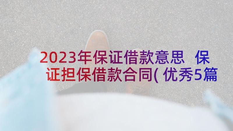 2023年保证借款意思 保证担保借款合同(优秀5篇)