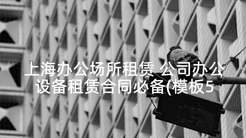 上海办公场所租赁 公司办公设备租赁合同必备(模板5篇)