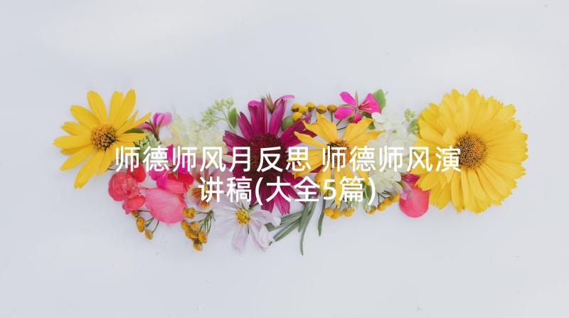 师德师风月反思 师德师风演讲稿(大全5篇)