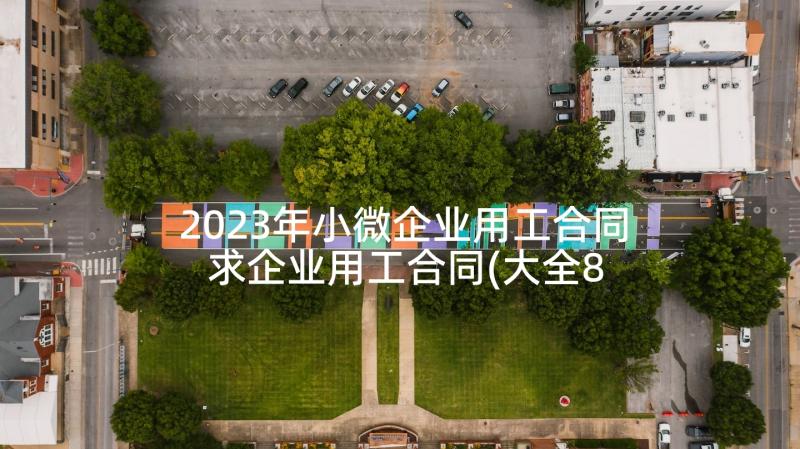 2023年小微企业用工合同 求企业用工合同(大全8篇)