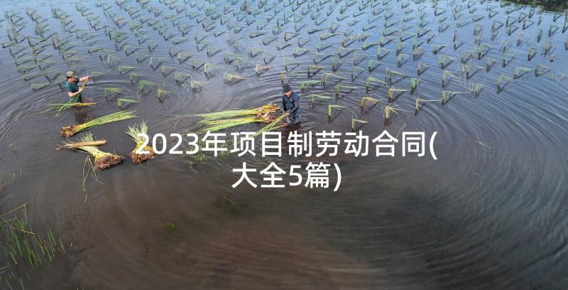 2023年项目制劳动合同(大全5篇)