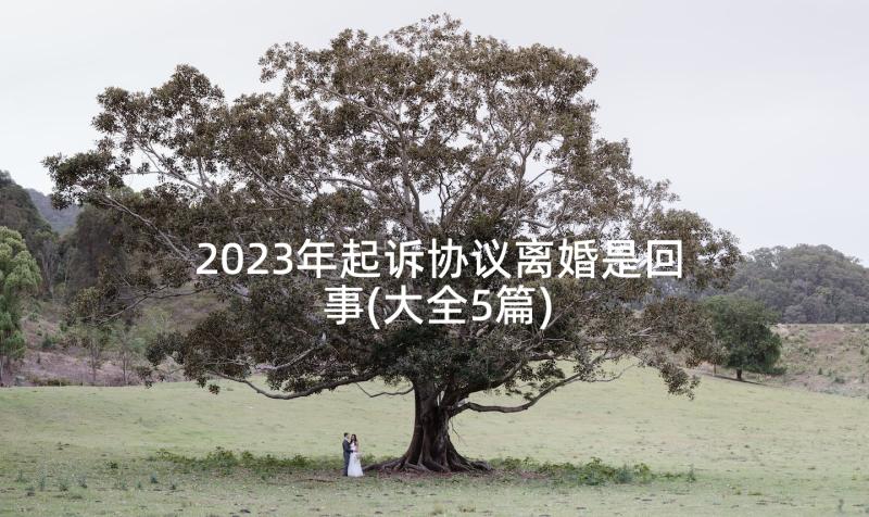 2023年起诉协议离婚是回事(大全5篇)