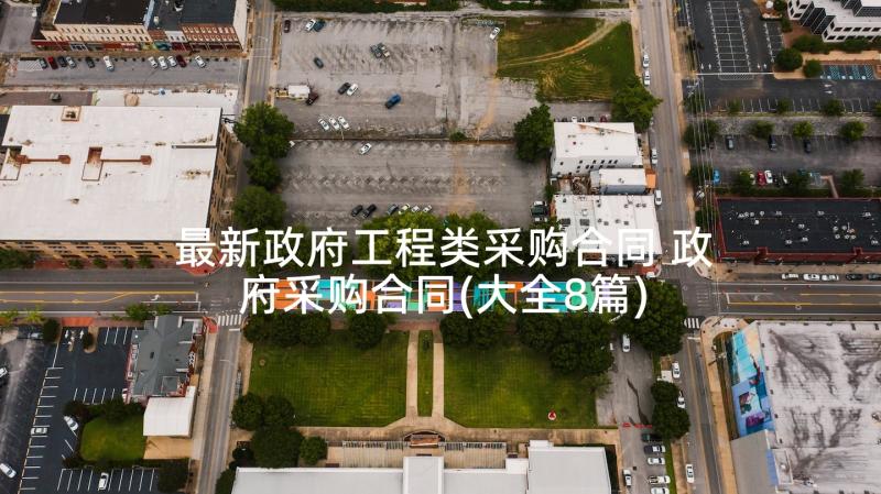 最新政府工程类采购合同 政府采购合同(大全8篇)