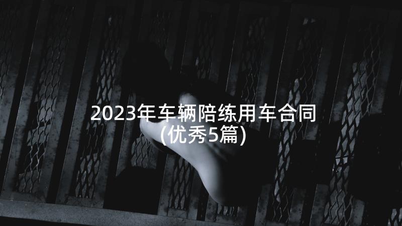 2023年车辆陪练用车合同(优秀5篇)