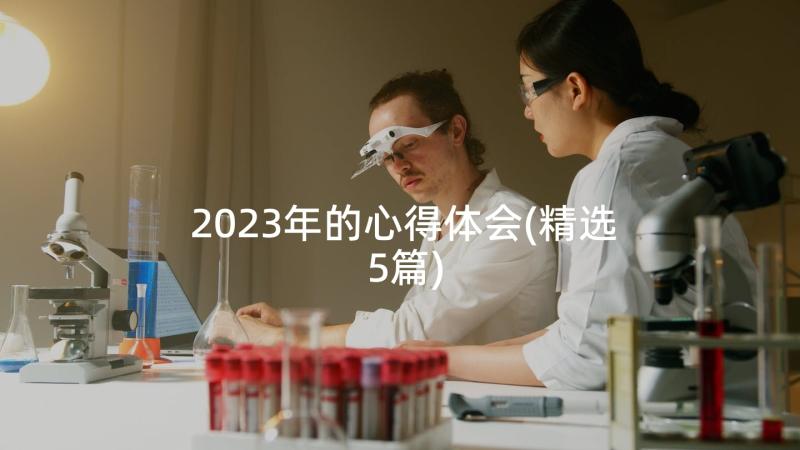 2023年的心得体会(精选5篇)