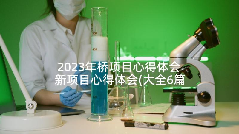 2023年桥项目心得体会 新项目心得体会(大全6篇)