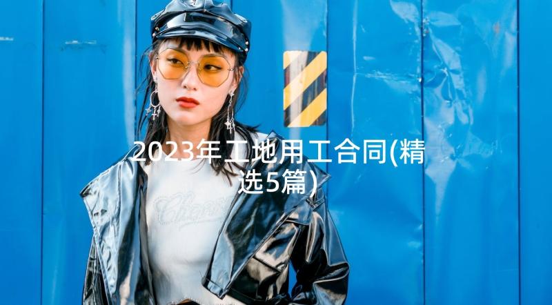 2023年工地用工合同(精选5篇)