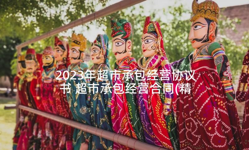 2023年超市承包经营协议书 超市承包经营合同(精选5篇)