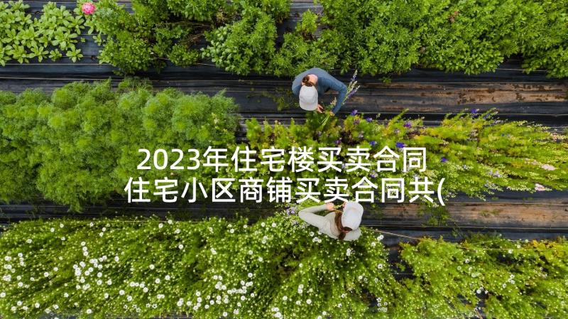 2023年住宅楼买卖合同 住宅小区商铺买卖合同共(大全10篇)