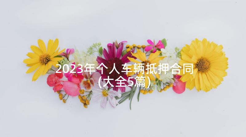 2023年个人车辆抵押合同(大全5篇)