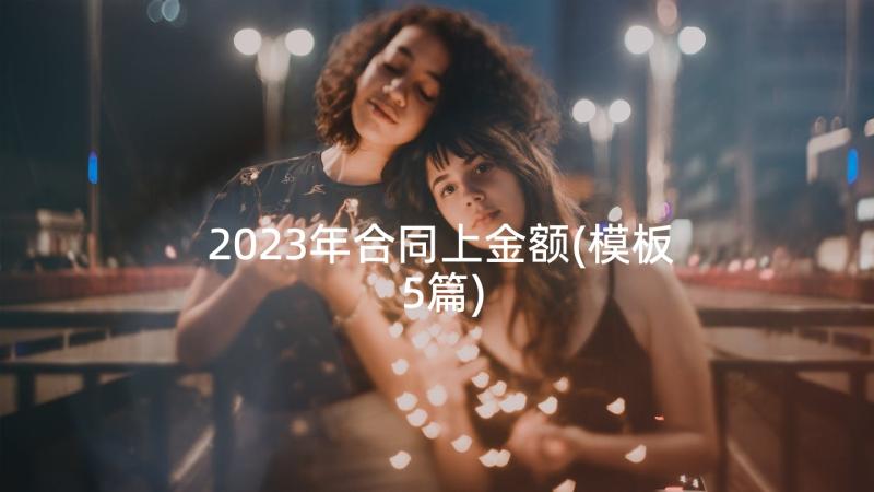 2023年合同上金额(模板5篇)