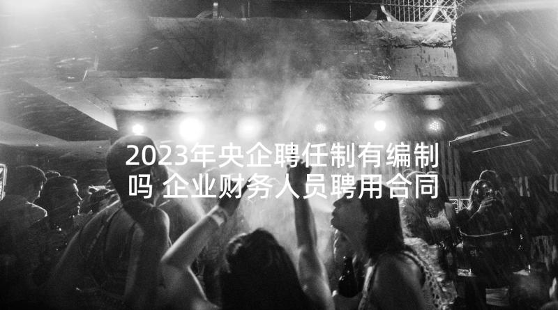 2023年央企聘任制有编制吗 企业财务人员聘用合同(汇总5篇)