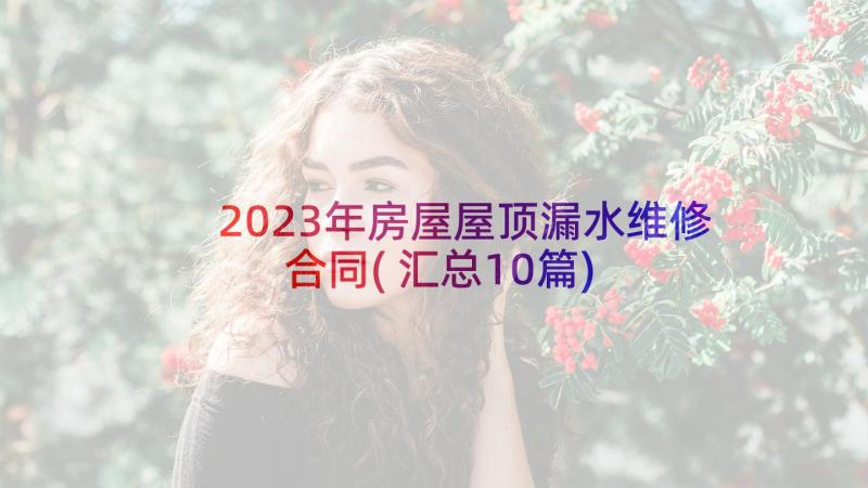 2023年房屋屋顶漏水维修合同(汇总10篇)