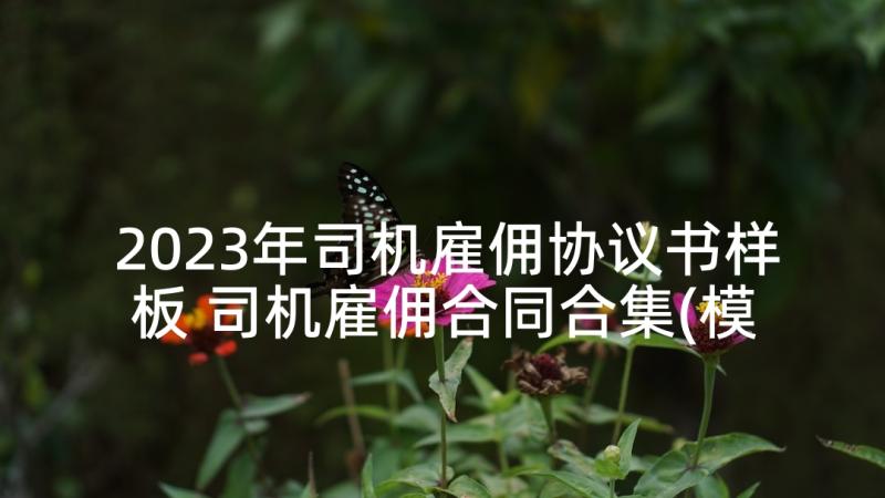 2023年司机雇佣协议书样板 司机雇佣合同合集(模板8篇)