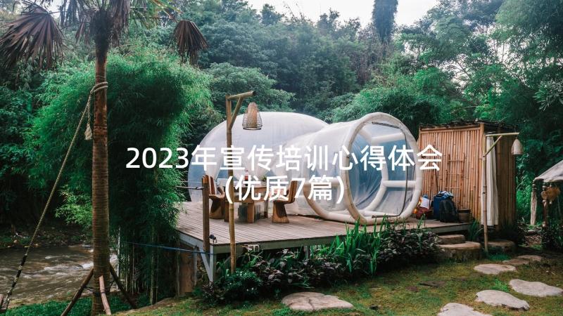 2023年宣传培训心得体会(优质7篇)