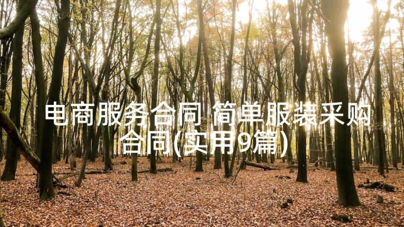 电商服务合同 简单服装采购合同(实用9篇)