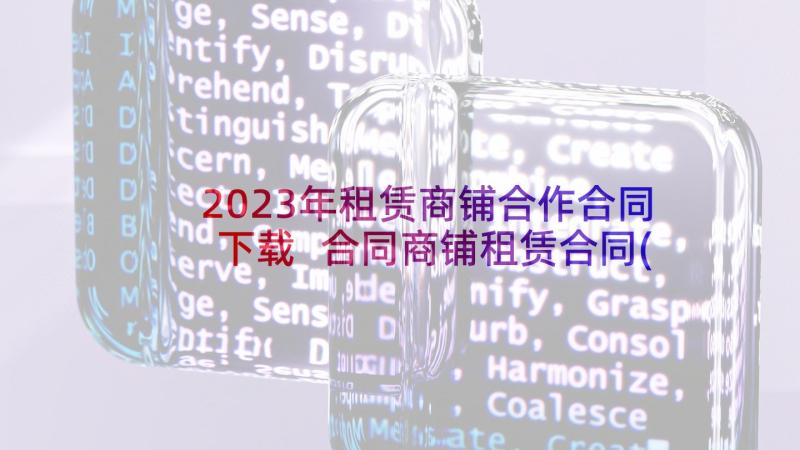 2023年租赁商铺合作合同下载 合同商铺租赁合同(通用10篇)