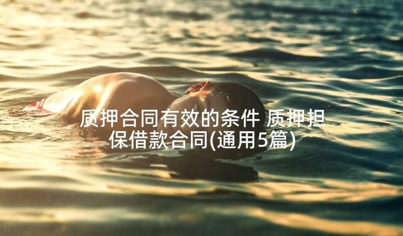 质押合同有效的条件 质押担保借款合同(通用5篇)