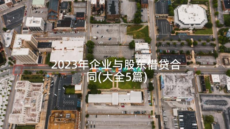 2023年企业与股东借贷合同(大全5篇)