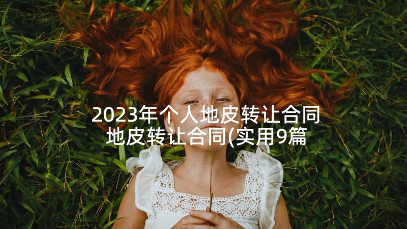 2023年个人地皮转让合同 地皮转让合同(实用9篇)