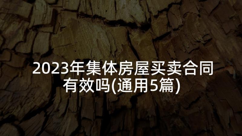 2023年集体房屋买卖合同有效吗(通用5篇)