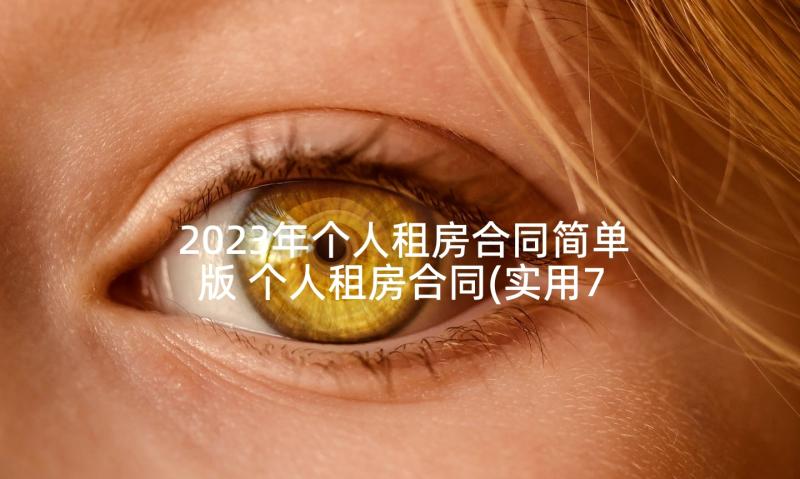 2023年个人租房合同简单版 个人租房合同(实用7篇)