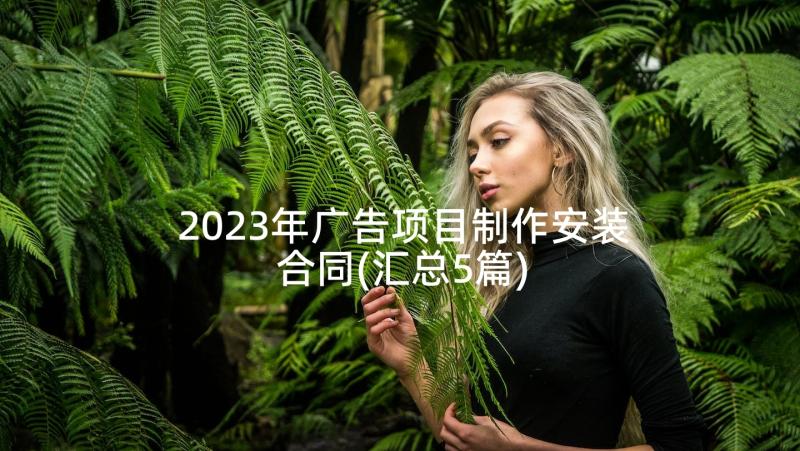 2023年广告项目制作安装合同(汇总5篇)